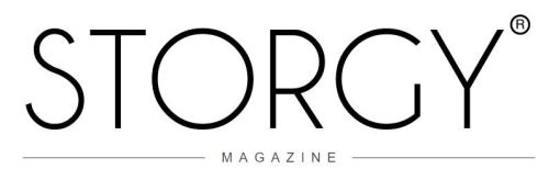 storgy-logo