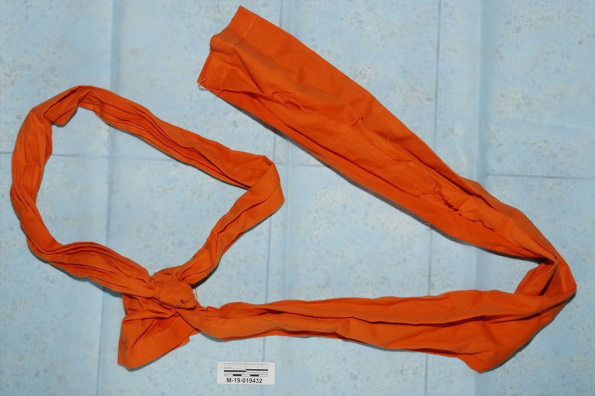 The murder of Jeffrey Epstein